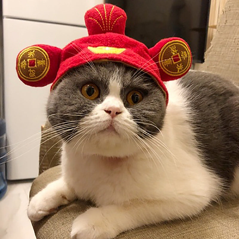 Unleash Your Pet's Style with the Curly Hair Pet Hat